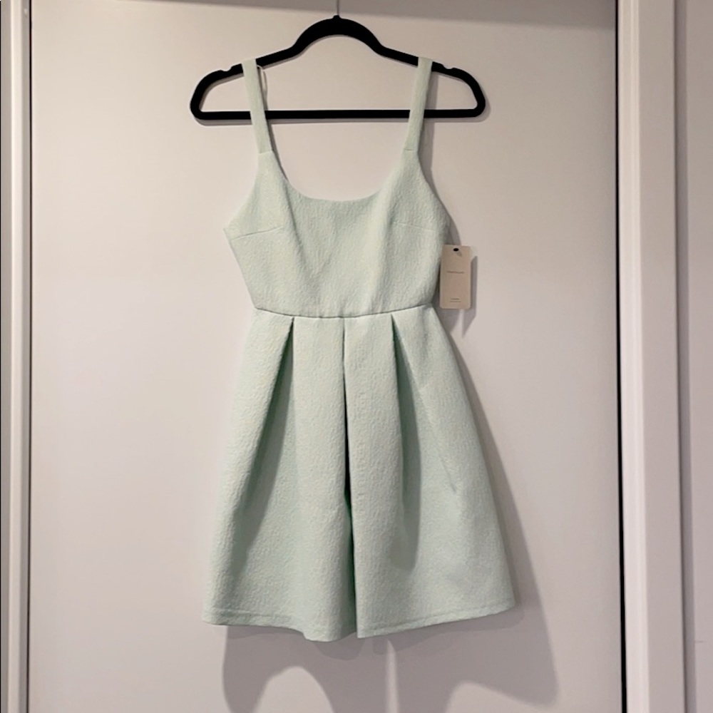 Zara Trafaluc pastel green skater dress